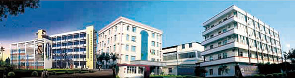 興業(yè)皮革科技股份有限公司在深交所成功上市（1992年，公司參股興業(yè)皮革廠，成為主要股東之一）。